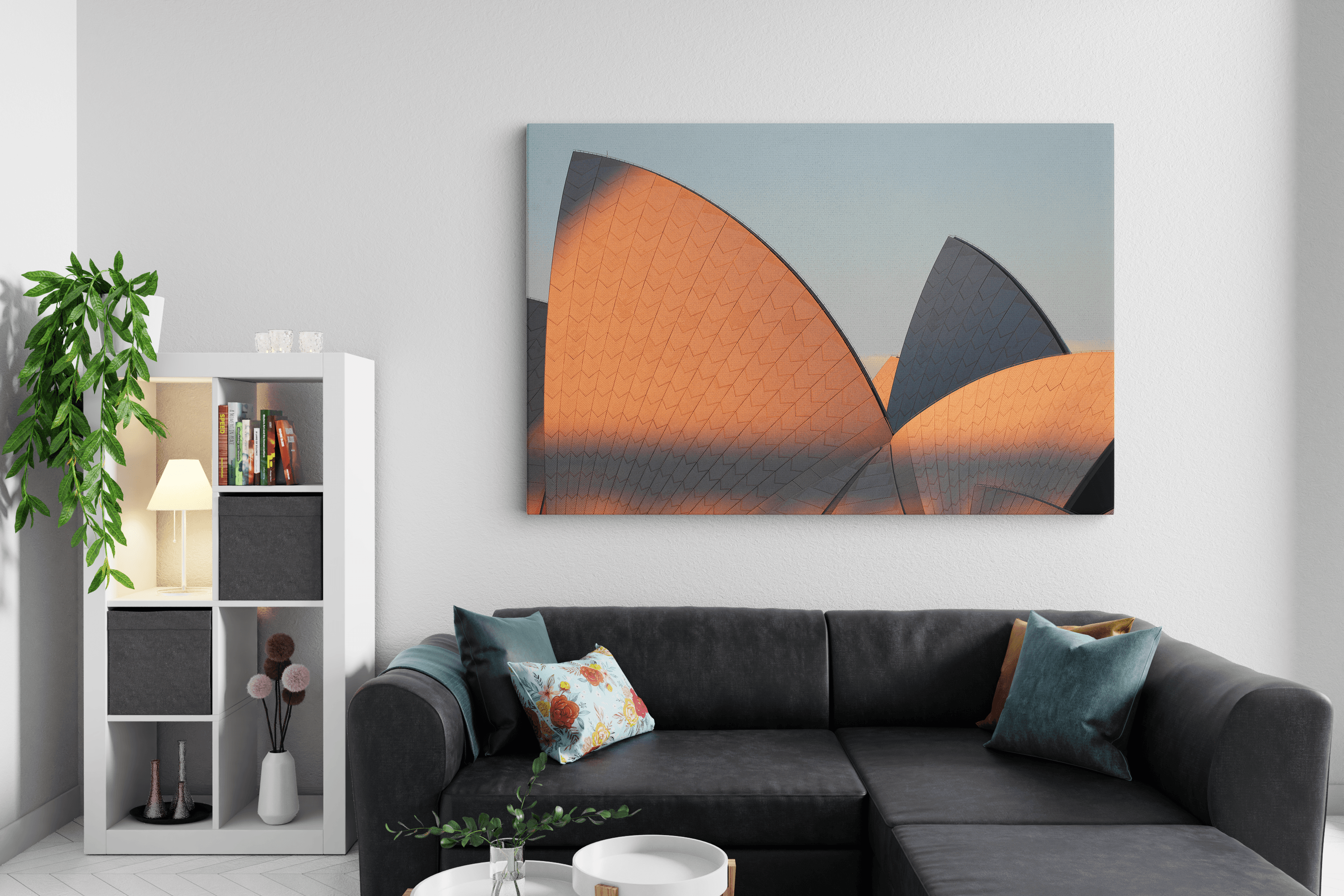 Orange Touch: Sydney in room