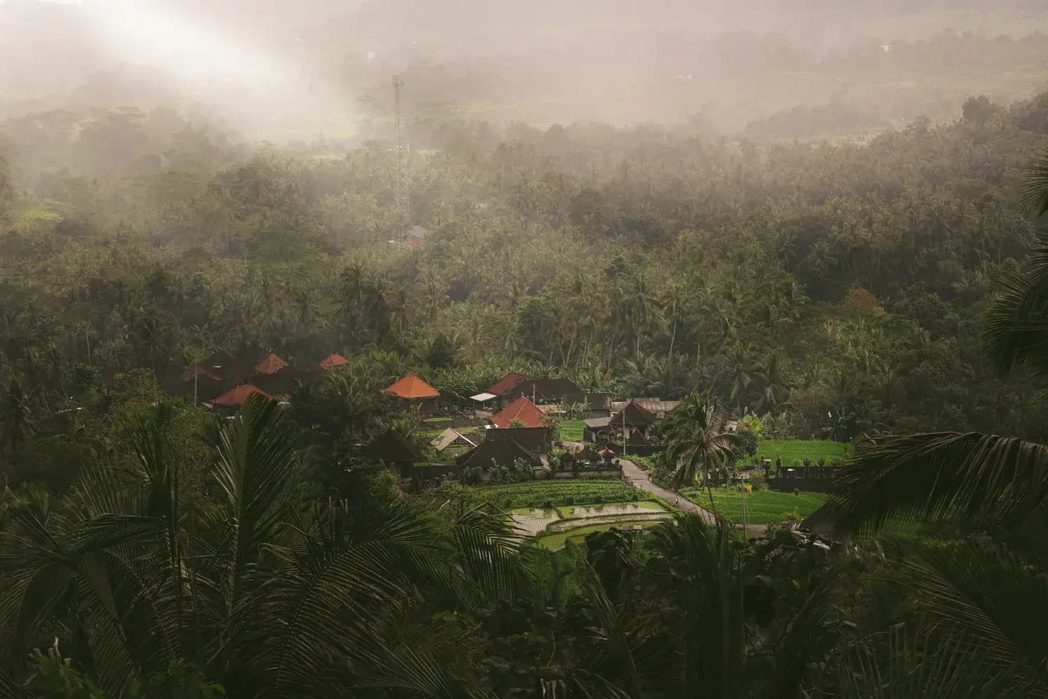 Hidden Village: Sideman