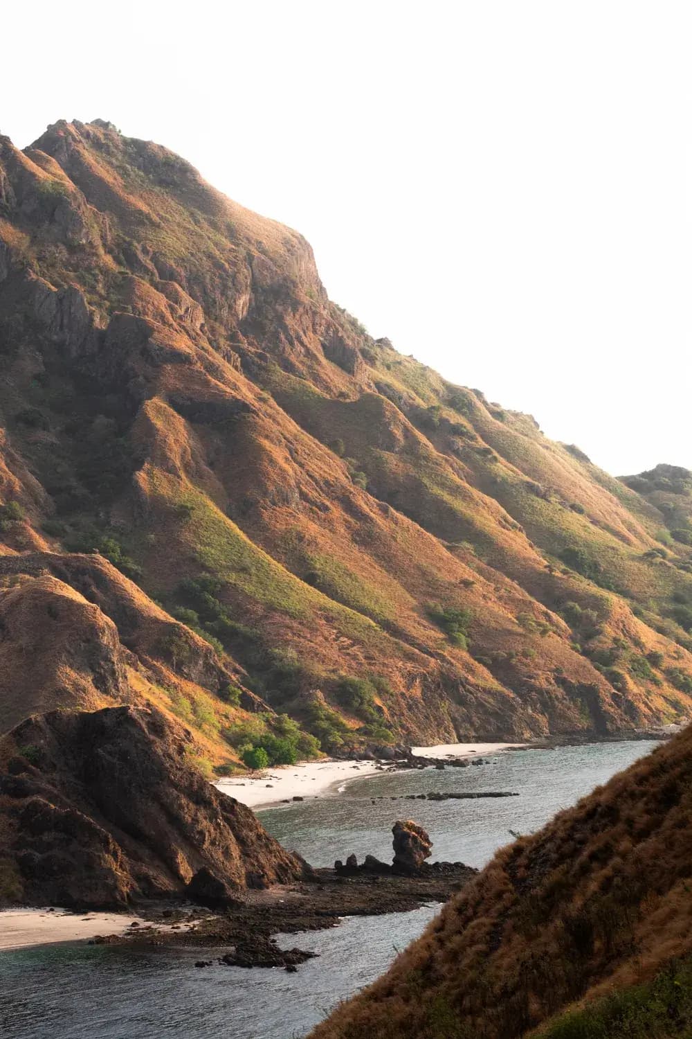 Summit: Komodo Island