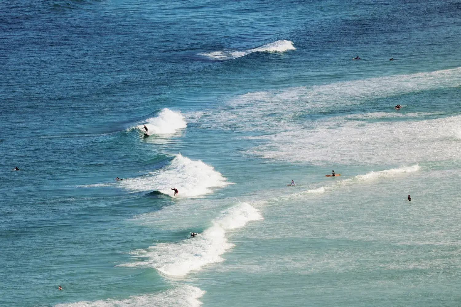 Wave after Wave: NSW